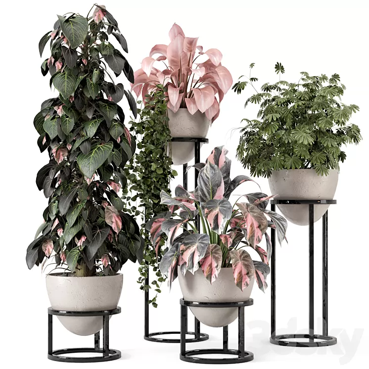 Indoor Plants in rusty Concrete Pot on Metal Shelf – Set 964 3D Model Free Download Indoor Plants in rusty Concrete Pot on Metal Shelf – Set 964 3D Model Free Download
