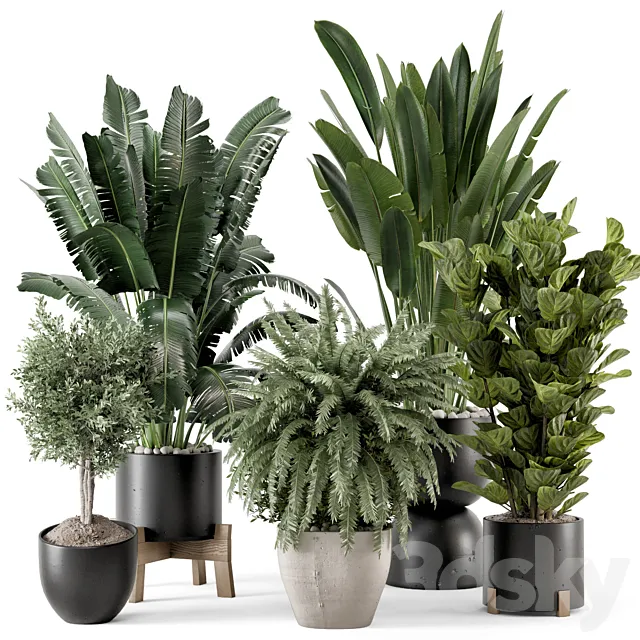 Indoor Plants in rusty Concrete Pot on Wooden Base – Set 1203 3D Model