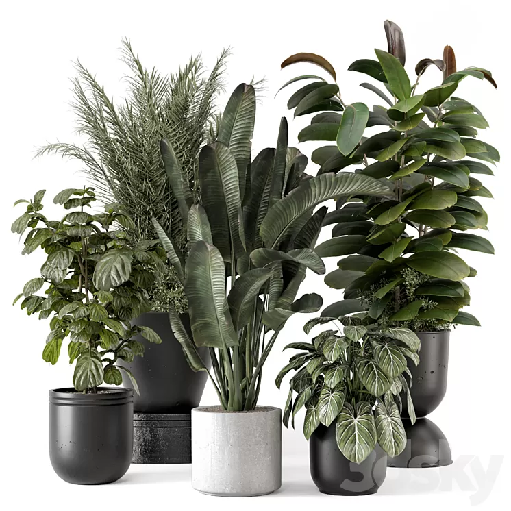 Indoor Plants in rusty Concrete Pot – Set 1265 3D Model Free Download