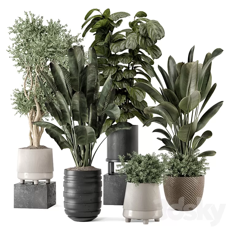 Indoor Plants in rusty Concrete Pot - Set 1291 3D Model Free Download ...