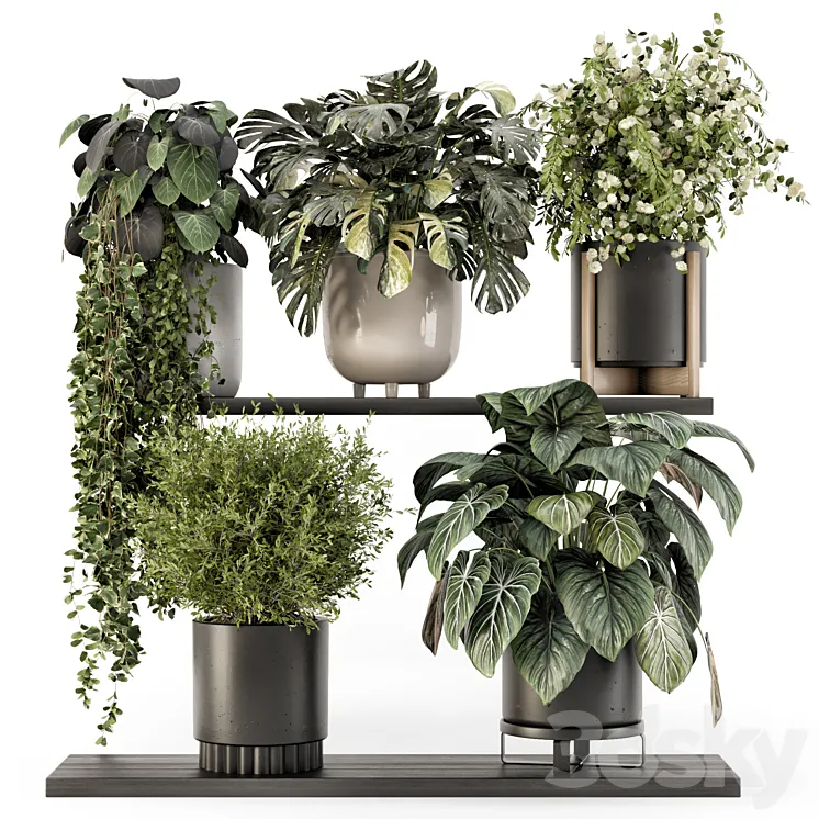 Indoor Plants in rusty Concrete Pot – Set 1512 3D Model Free Download