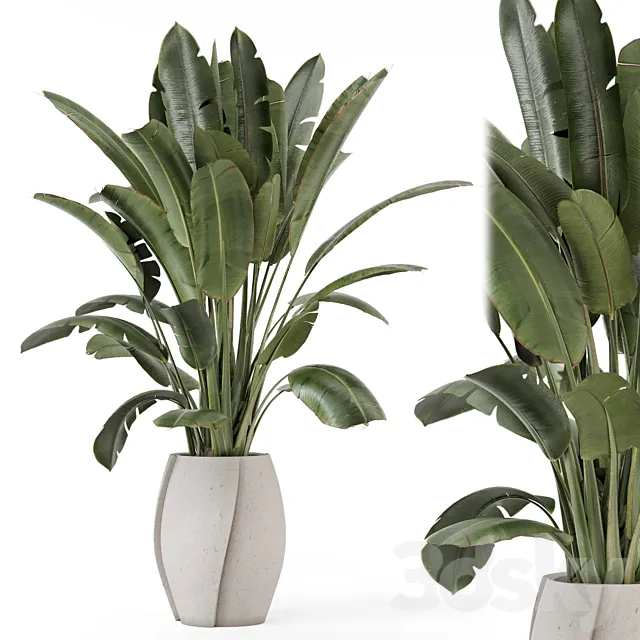 Indoor Plants in rusty Concrete Pot – Set 1612 3D Model