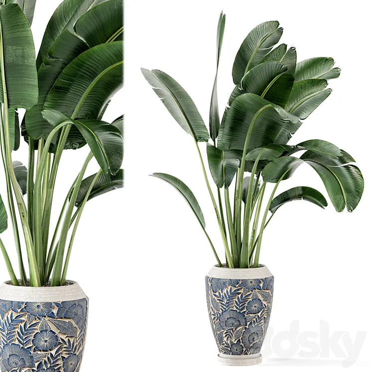 Indoor Plants in rusty Concrete Pot – Set 184 3D Model Free Download