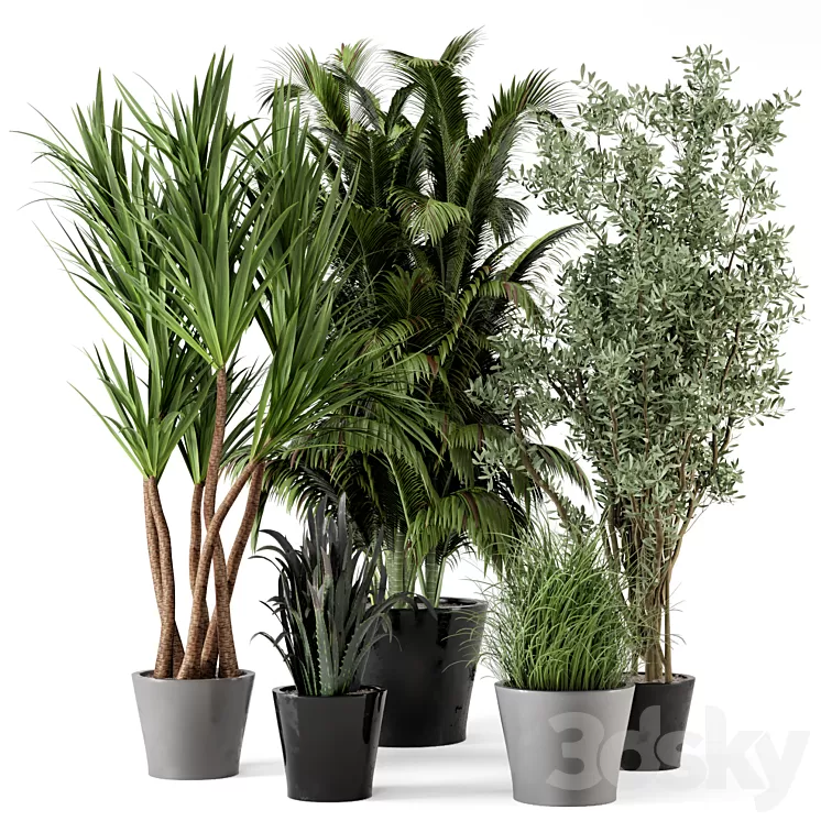 Indoor Plants in rusty Concrete Pot – Set 225 3D Model