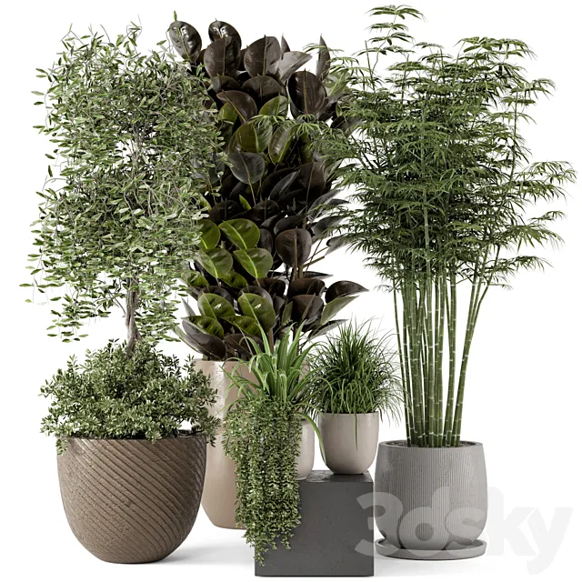 Indoor Plants in rusty Concrete Pot – Set 229 3DModel