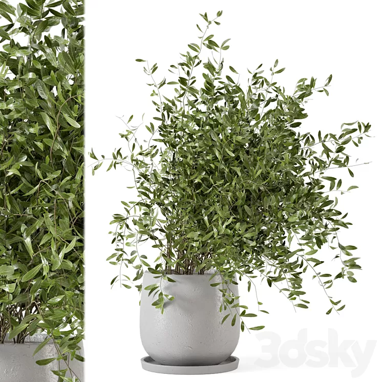 Indoor Plants in rusty Concrete Pot – Set 281 3D Model