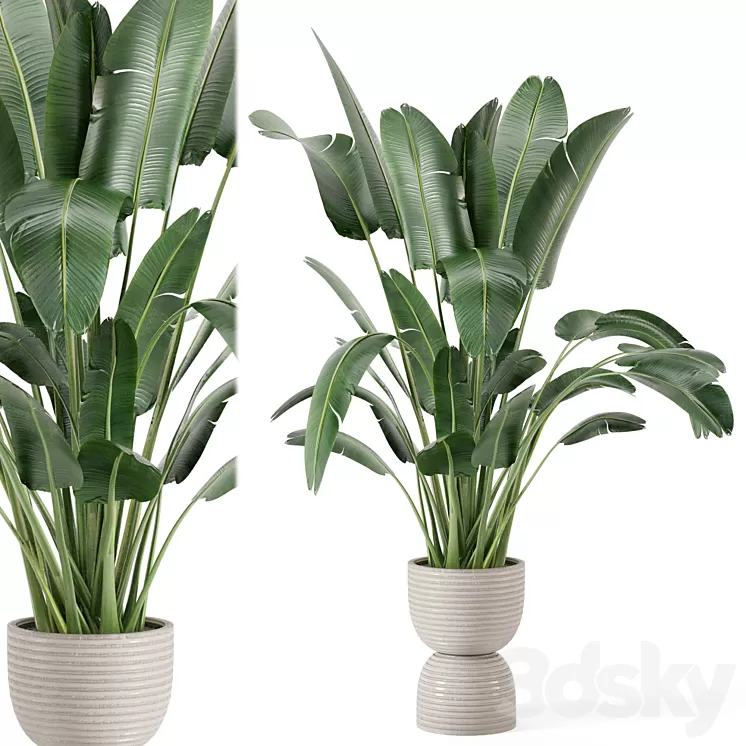 Indoor Plants in rusty Concrete Pot – Set 298 3D Model
