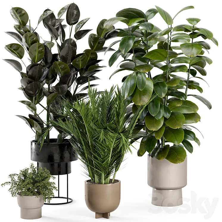 Indoor Plants in rusty Concrete Pot – Set 307 3D Model Free Download