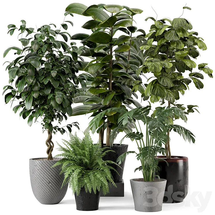 Indoor Plants in rusty Concrete Pot – Set 324 3D Model Free Download