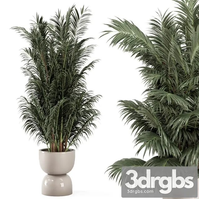 Indoor plants in rusty concrete pot – set 352