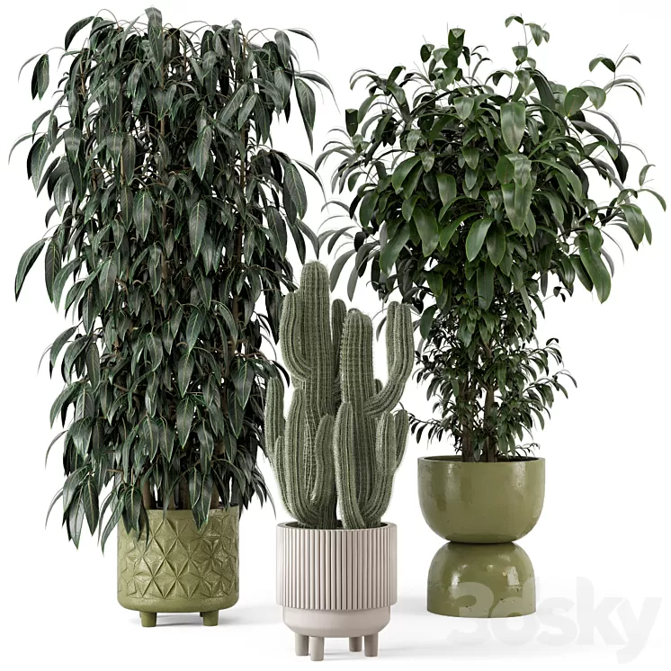 Indoor Plants in rusty Concrete Pot – Set 512 3D Model Free Download