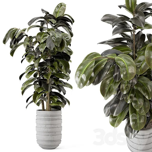 Indoor Plants in rusty Concrete Pot – Set 549 3DModel Indoor Plants in rusty Concrete Pot – Set 549 3DModel