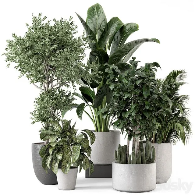 Indoor Plants in rusty Concrete Pot – Set 584 3D Model Indoor Plants in rusty Concrete Pot – Set 584 3D Model