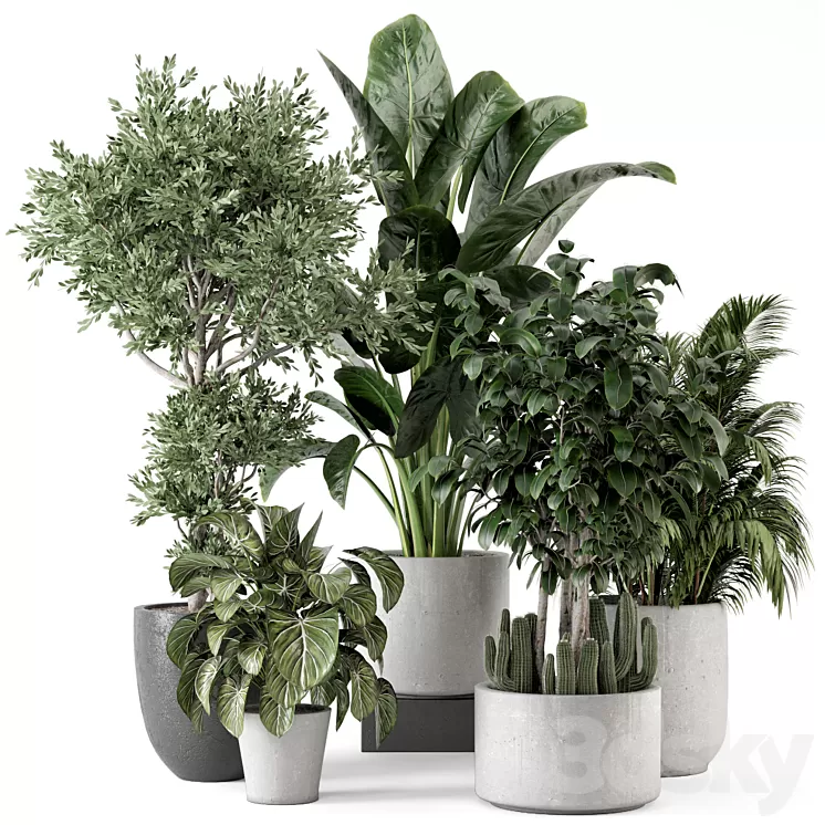 Indoor Plants in rusty Concrete Pot – Set 584 3D Model Free Download