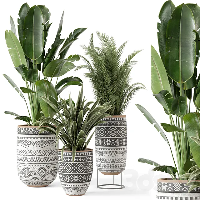 Indoor Plants in rusty Concrete Pot – Set 628 3DModel