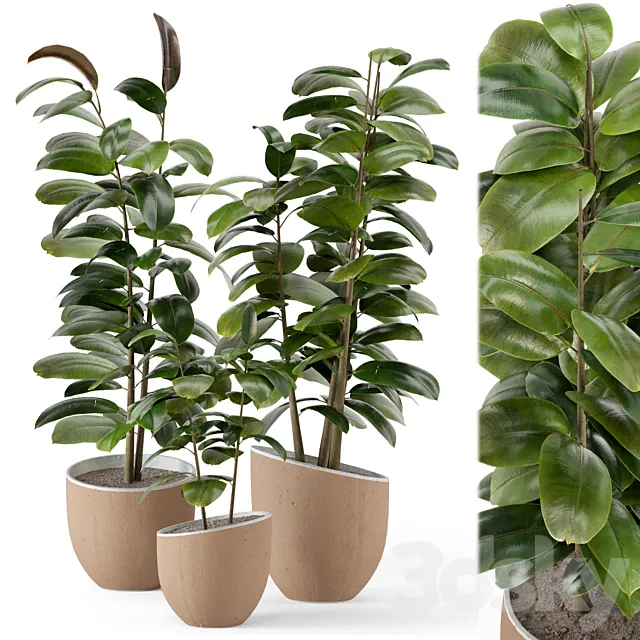 Indoor Plants in rusty Concrete Pot – Set 692 3DModel Indoor Plants in rusty Concrete Pot – Set 692 3DModel