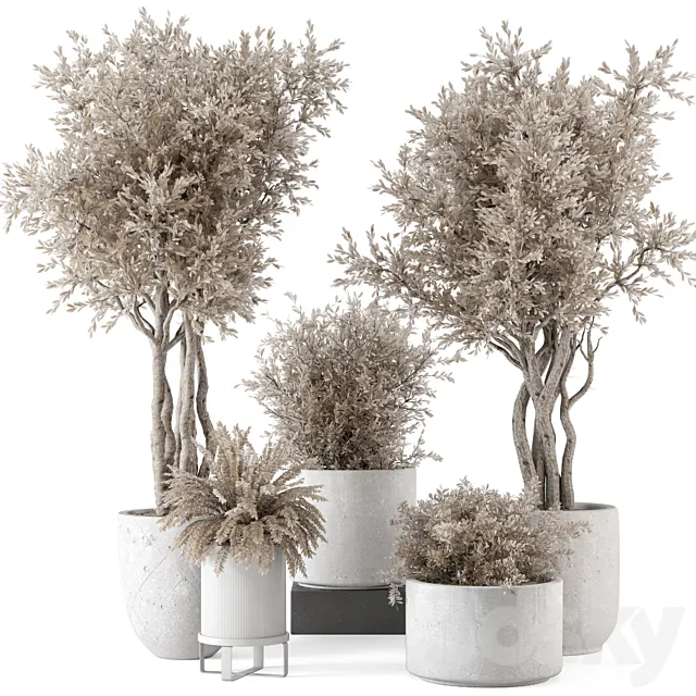 Indoor Plants in rusty Concrete Pot – Set 809 3D Model Indoor Plants in rusty Concrete Pot – Set 809 3D Model