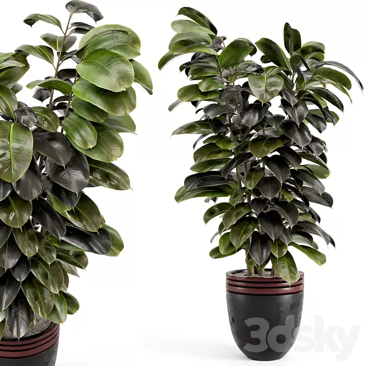 Indoor Plants in rusty Concrete Pot – Set 881 3D Model