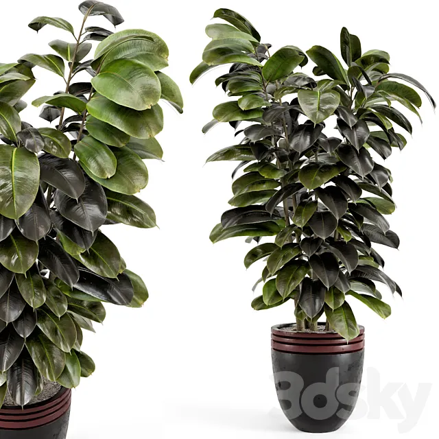 Indoor Plants in rusty Concrete Pot – Set 881 3DModel Indoor Plants in rusty Concrete Pot – Set 881 3DModel