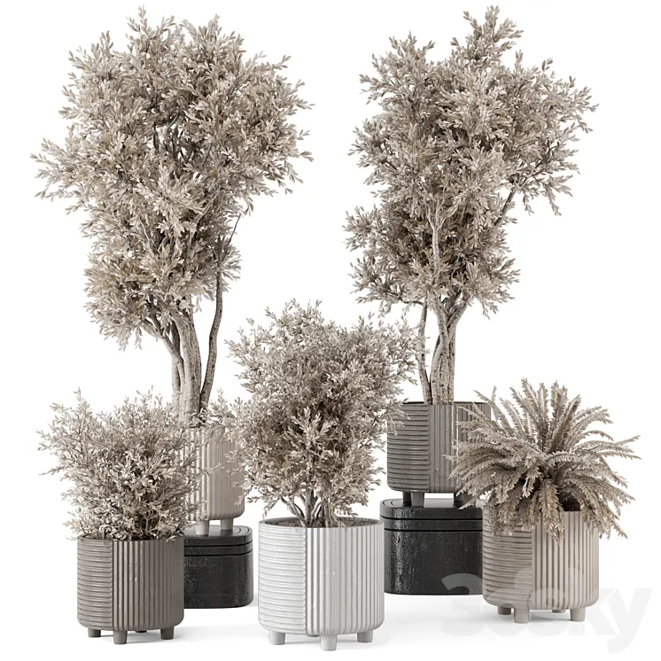 Indoor Plants in rusty Concrete Pot – Set 905 3D Model Free Download