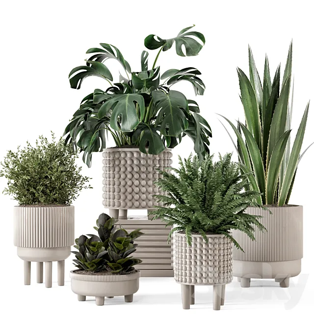 Indoor Plants in Standing Legs Small Bowl Concrete Pot – Set 1041 3D Model