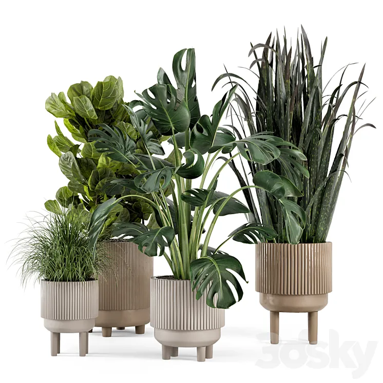 Indoor Plants in Standing Legs Small Bowl Concrete Pot – Set 214 3D Model Free Download
