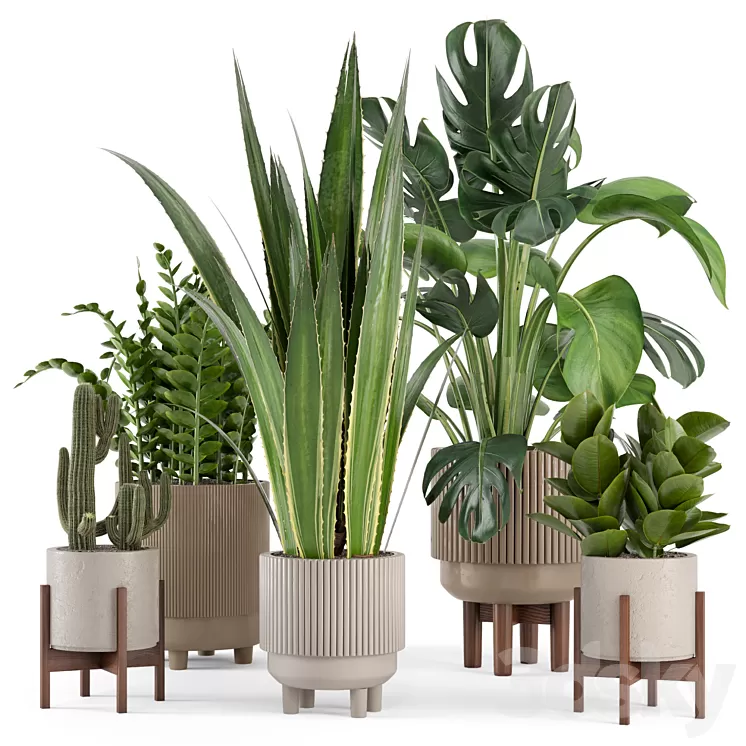 Indoor Plants in Standing Legs Small Bowl Concrete Pot – Set 245 3D Model Free Download