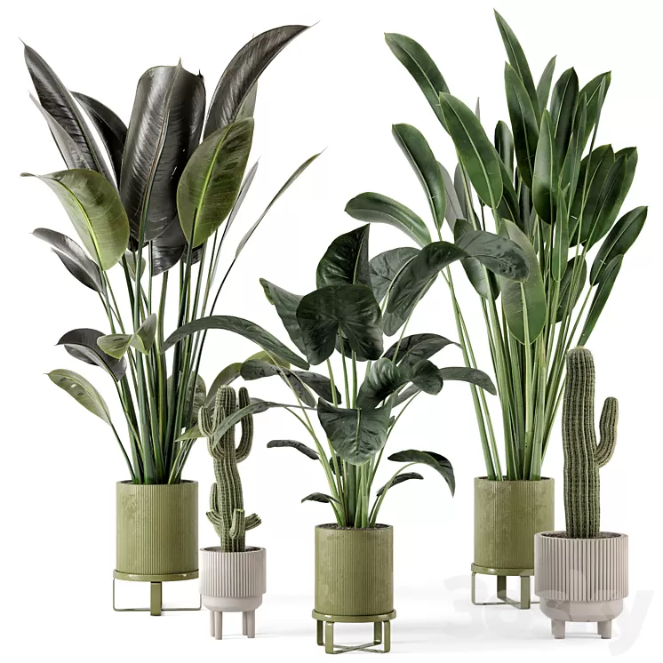 Indoor Plants in Standing Legs Small Bowl Concrete Pot – Set 325 3D Model