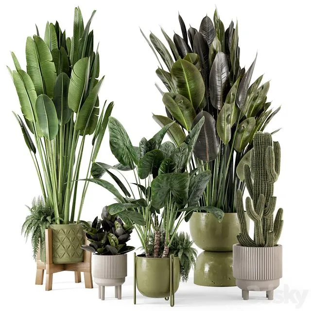 Indoor Plants in Standing Legs Small Bowl Concrete Pot Set 563 3D Model Indoor Plants in Standing Legs Small Bowl Concrete Pot Set 563 3D Model