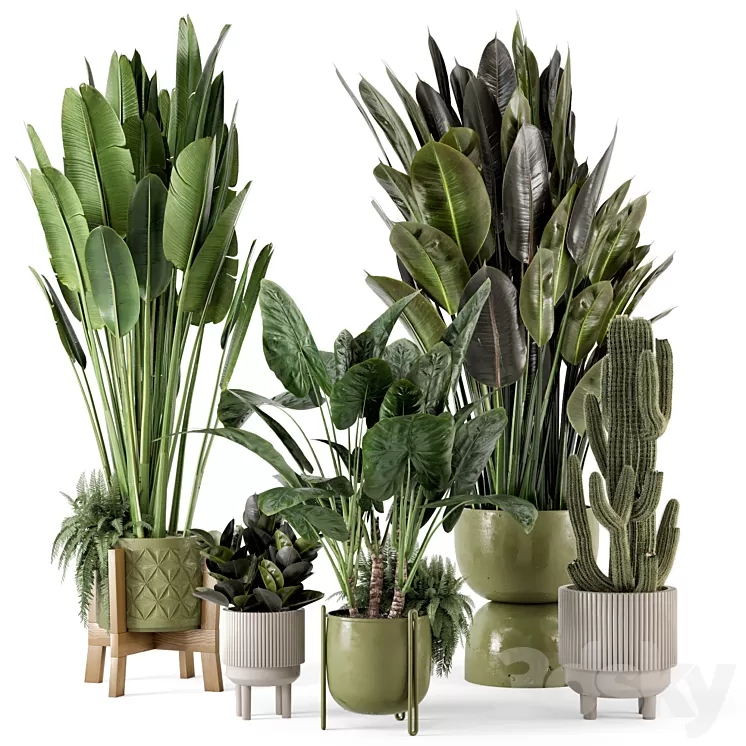 Indoor Plants in Standing Legs Small Bowl Concrete Pot – Set 563 3D Model Free Download