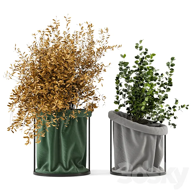 Indoor Plants In Vase with fabric cover – Set 102 3DModel Indoor Plants In Vase with fabric cover – Set 102 3DModel