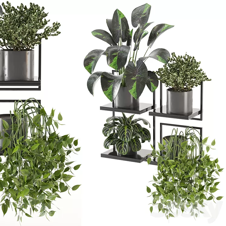 indoor plants on metal frame – Set 287 3D Model Free Download