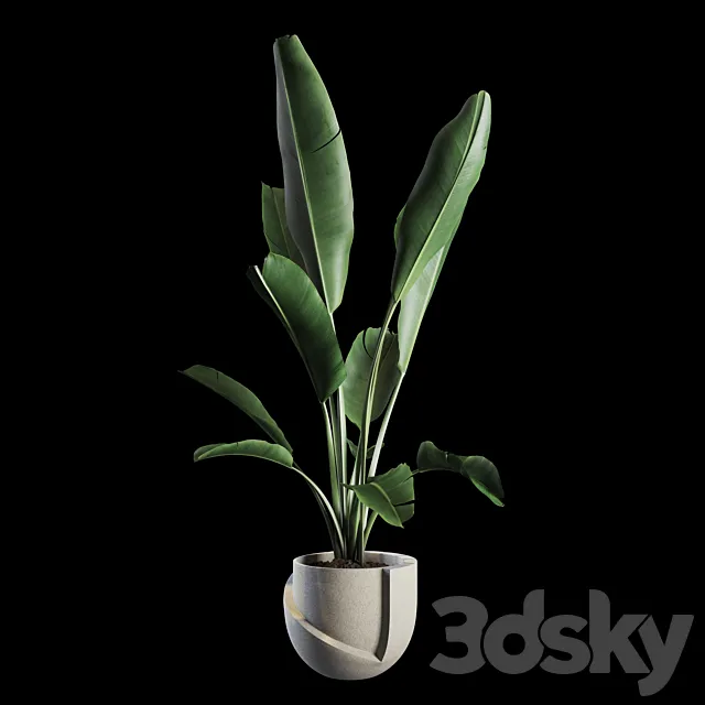 Indoor Plants Set 02 3DModel Indoor Plants Set 02 3DModel