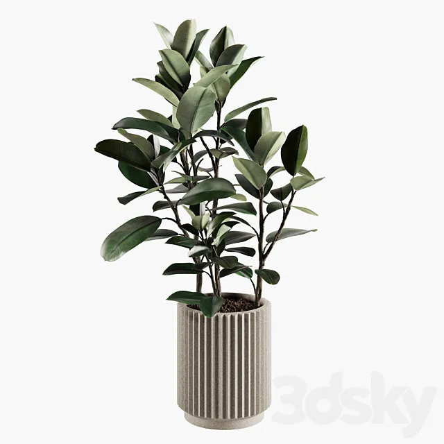 Indoor Plants Set 06 3D Model