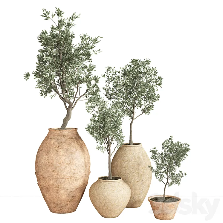 indoor_plant_set_28 3D Model Free Download