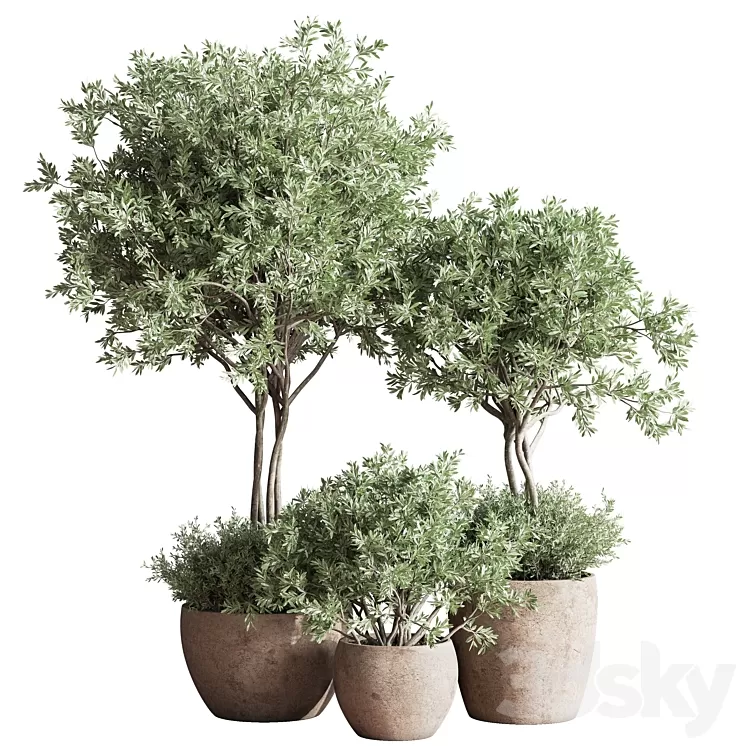 Indoor_Plant_Set_59 3D Model Free Download