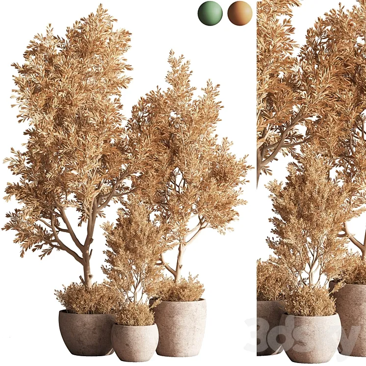Indoor_Plant_Set_63 3D Model Free Download