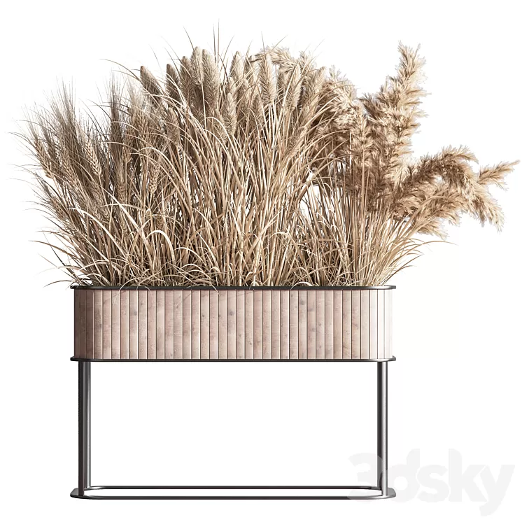 Indoor_Plant_Set_76(Dry_flowers_) 3D Model Free Download