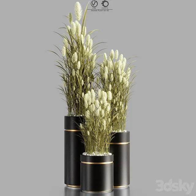 Indoor_Plant_Set_81 3D Model Indoor_Plant_Set_81 3D Model