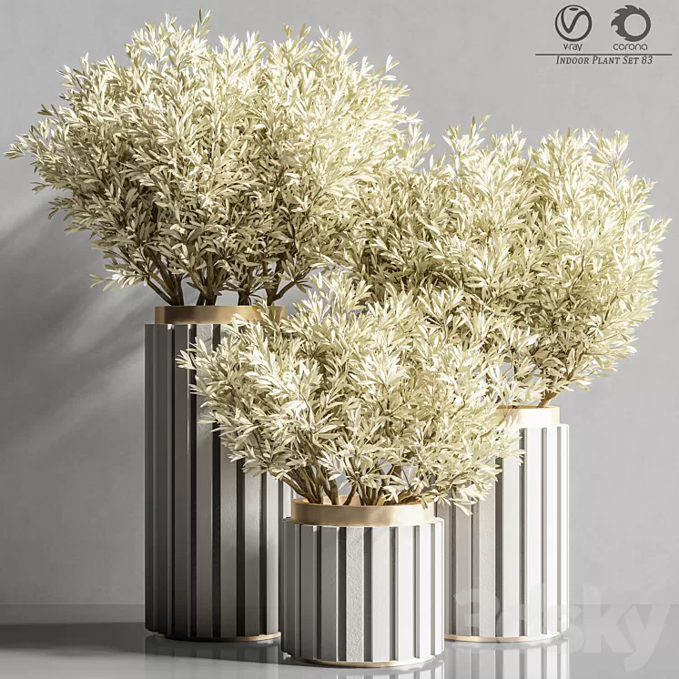 Indoor_Plant_Set_83 3D Model