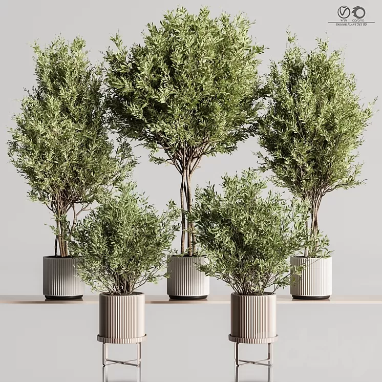 Indoor_Plant_Set_85 3D Model Free Download
