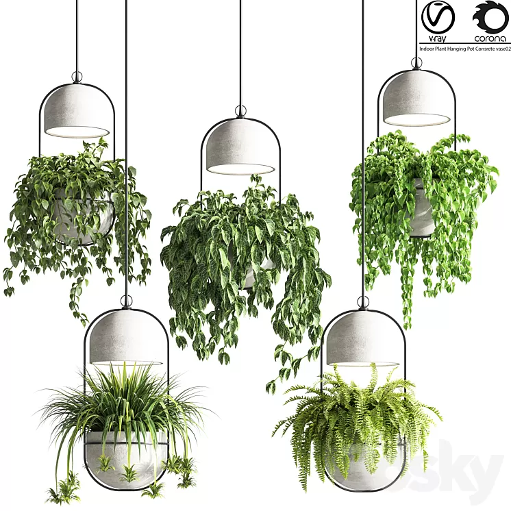 indoor_plants_hanging_pot_concrete_vase_02 3D Model