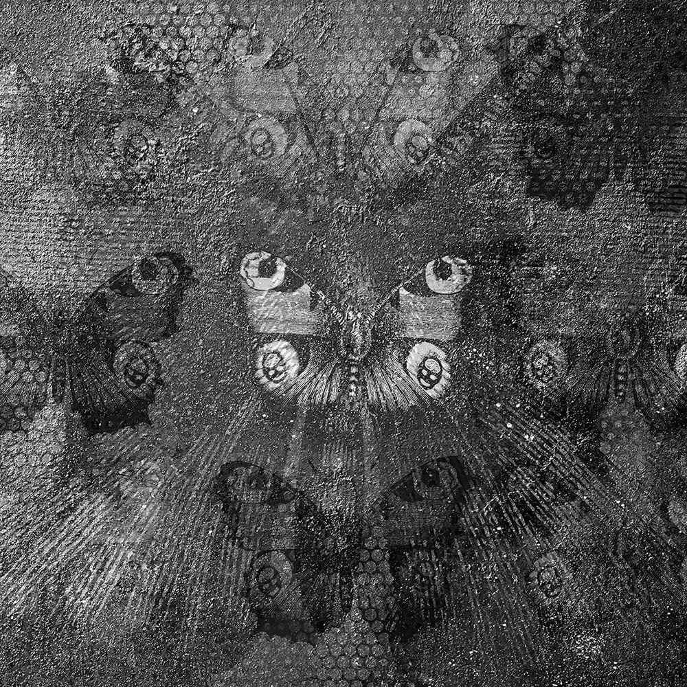 INSTABILELAB – Wallpaper The Butterfly 3D Model INSTABILELAB – Wallpaper The Butterfly 3D Model