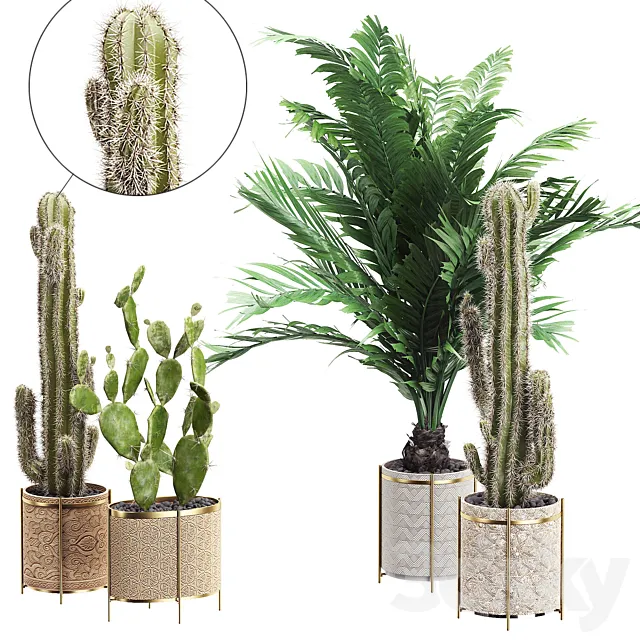 INTERIOR FLOWER PACK 20 – CACTUS. Part 4 3D Model INTERIOR FLOWER PACK 20 – CACTUS. Part 4 3D Model