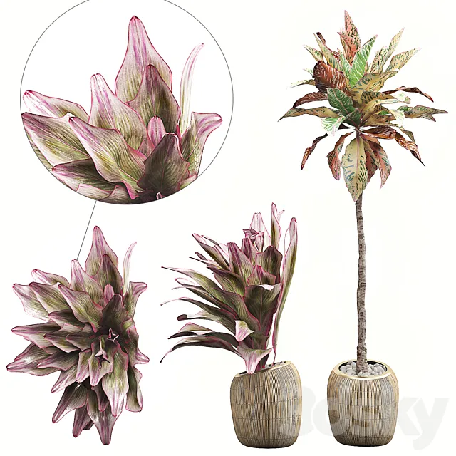 INTERIOR FLOWER PACK 34 3D Model INTERIOR FLOWER PACK 34 3D Model