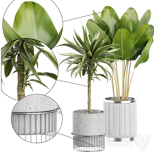 INTERIOR FLOWER PACK 62 3D Model INTERIOR FLOWER PACK 62 3D Model