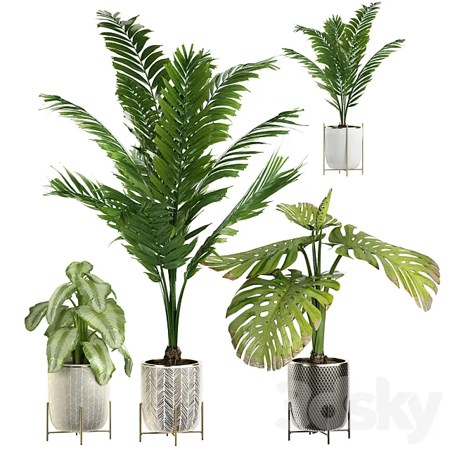 INTERIOR FLOWER PLANT PACK 4 3DModel INTERIOR FLOWER PLANT PACK 4 3DModel