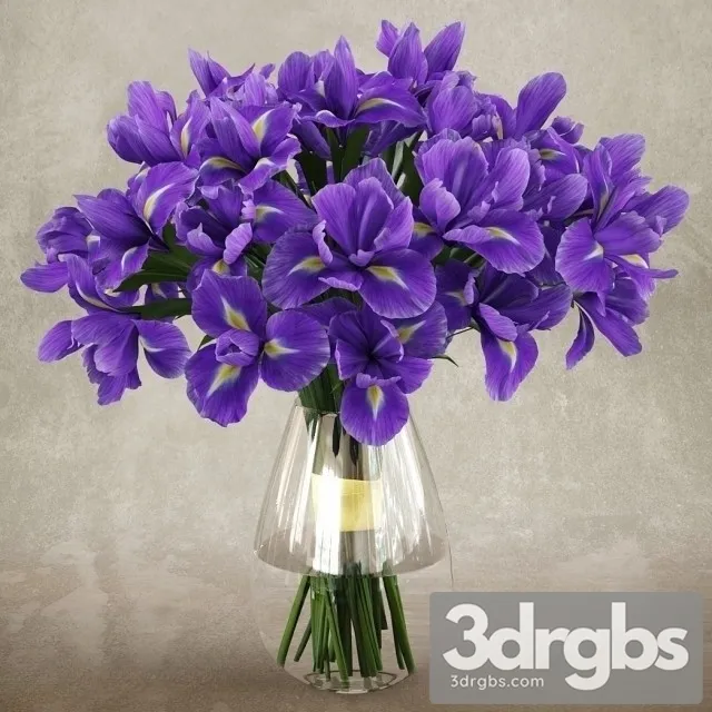Iris Bouquet 3D Model Download