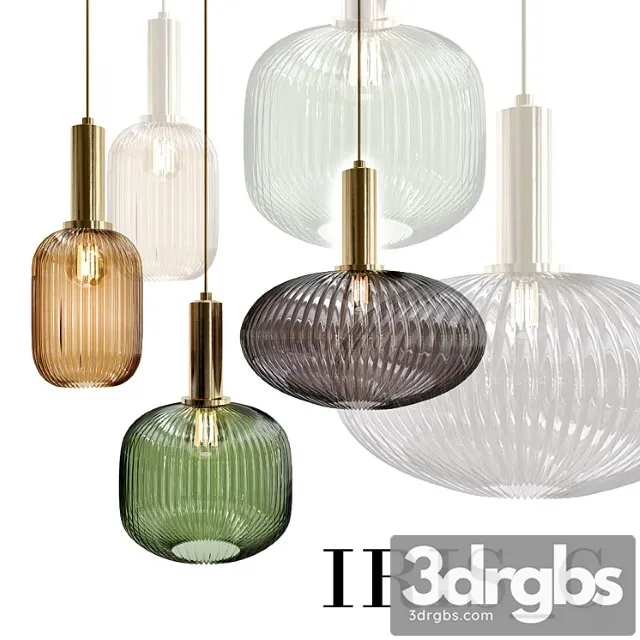 Iris c 3D Model Download