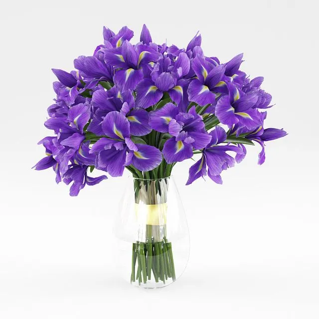 Irises 1 3D Model Irises 1 3D Model